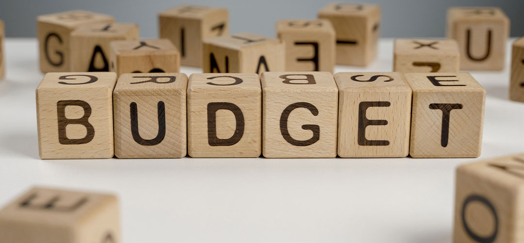 Quels sont les différents budgets du CSE ?
